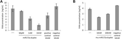 The Anti-Inflammatory Effect of Cabbage Leaves Explained by the Influence of bol-miRNA172a on FAN Expression